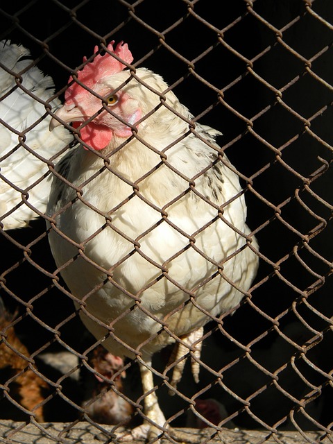 现似乎出现 现似乎出现