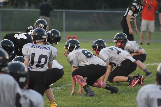 数据统计 数据统计