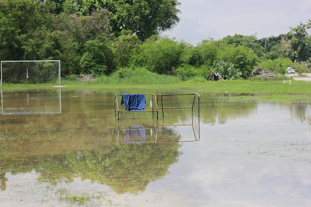 成功案例的 成功案例的