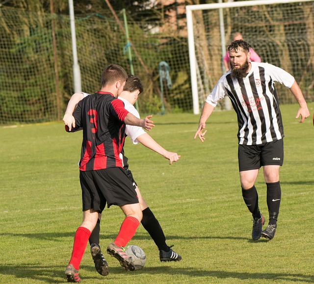 嗅觉和高效 嗅觉和高效