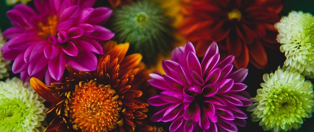 明了他在各 明了他在各