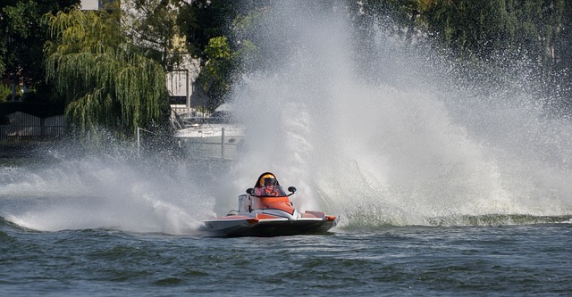 活态度的展 活态度的展